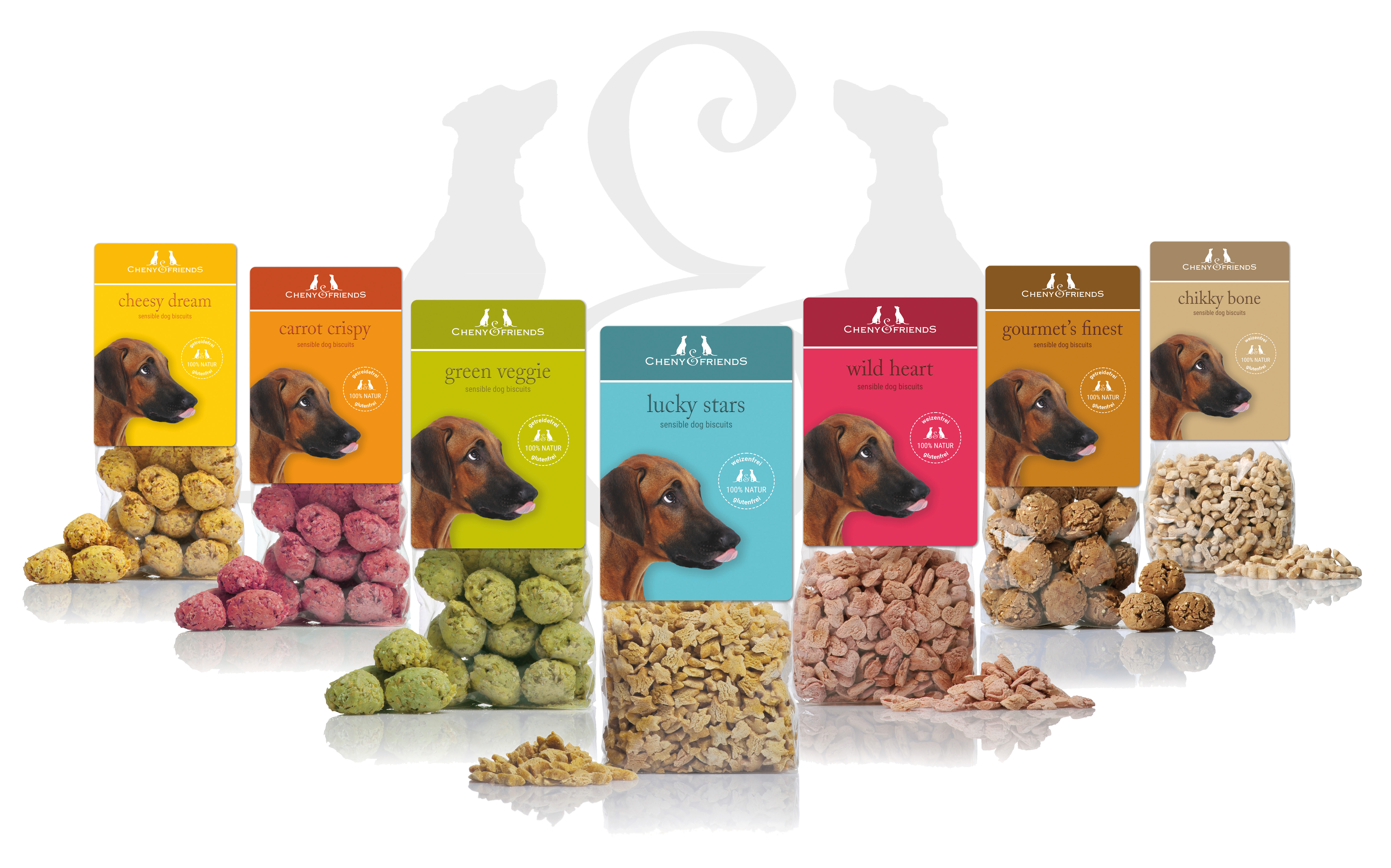 Dog Biscuits